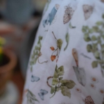 Flora 09