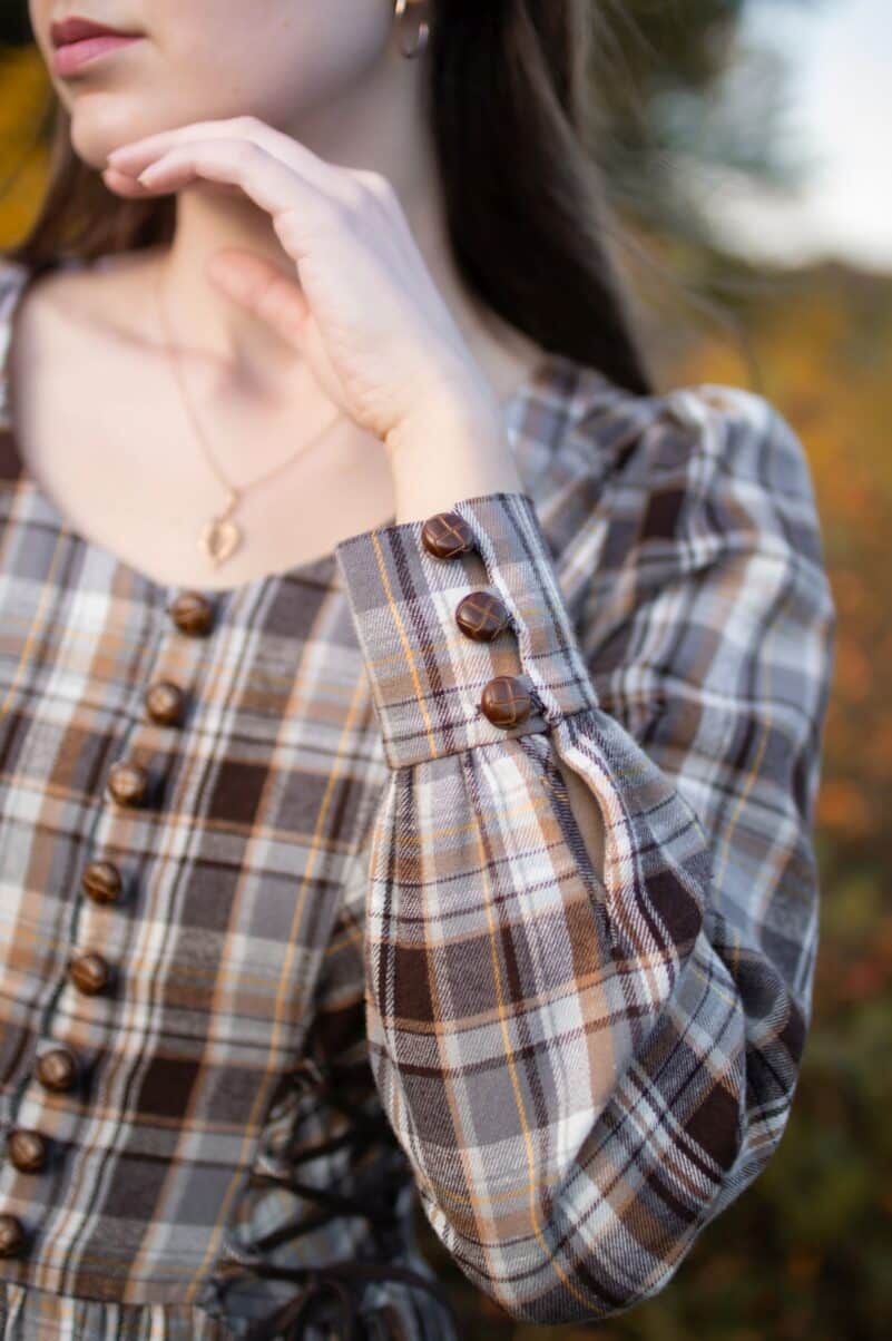 Evangeline 14