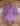 Img 1451