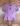 Img 1499