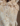 Img 1655